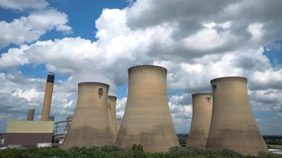 Drax: UK power station still burning rare forest wood